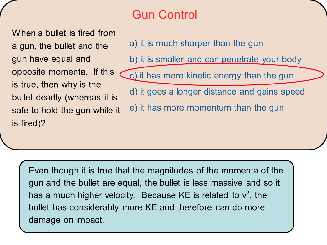 gun control oral presentation